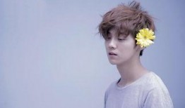 陈赫爆料鹿晗送外卖视频,网友热议明星接地气一面